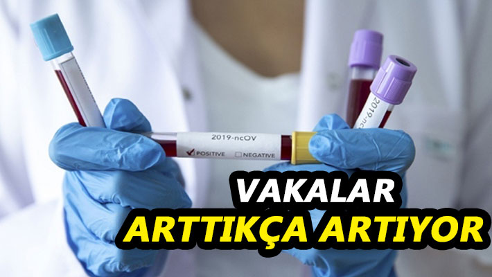 Vakalar arttıkça artıyor