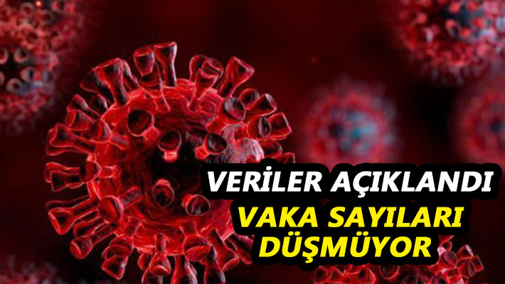 Veriler açıklandı Vaka sayıları düşmüyor