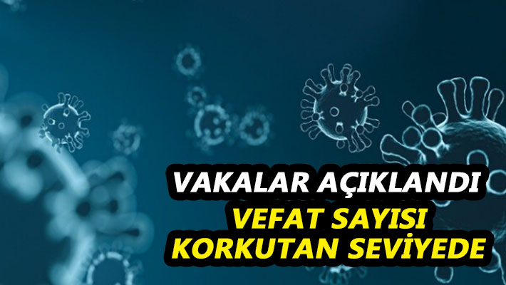 Vakalar açıklandı Vefat sayısı korkutan seviyede