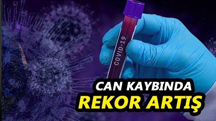 Can kaybında rekor artış