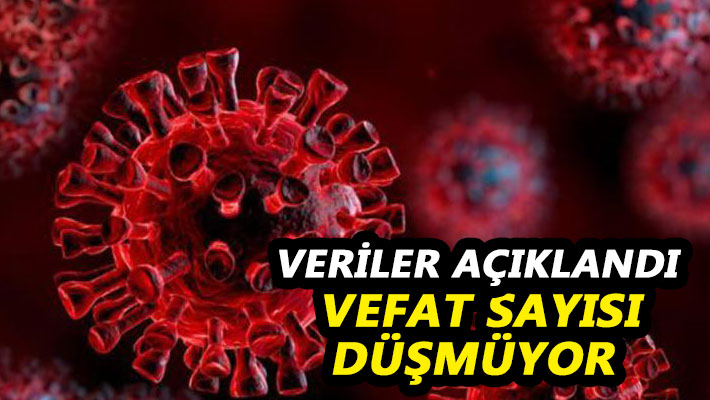 Veriler açıklandı Vefat sayısı düşmüyor