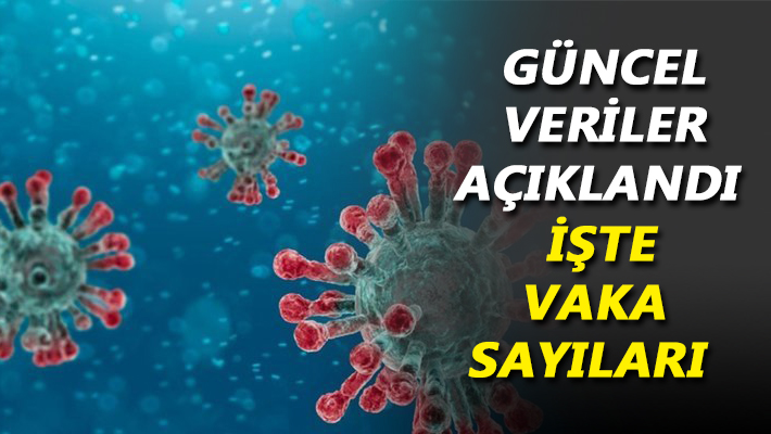 Güncel veriler açıklandı İşte vaka sayıları
