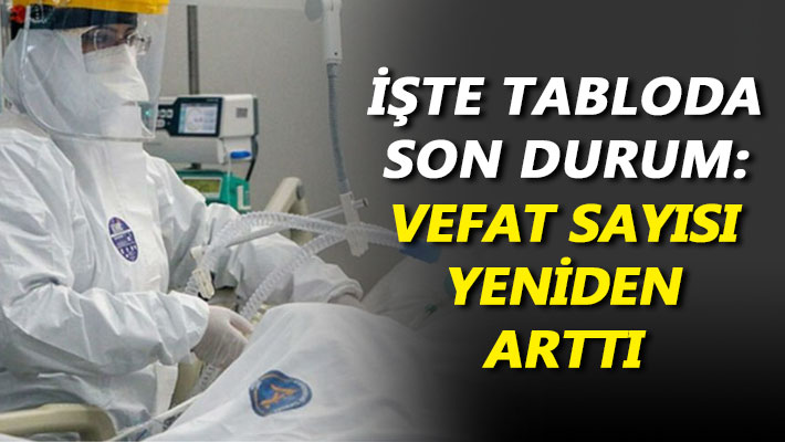Güncel veriler açıklandı İşte son durum