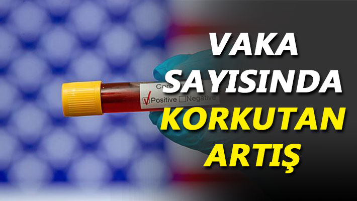 Vaka sayısında korkutan artış