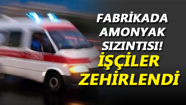 Fabrikada amonyak sızıntısı! İşçiler zehirlendi