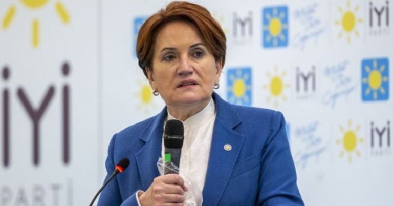İYİ Parti olağanüstü seçimli kongreye gidiyor