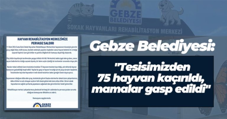 Gebze Belediyesi: Tesisimizden 75 hayvan kaçırıldı, mamalar gasp edildi