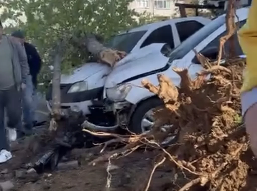 Kamyonet ağacı söküp araçlara çarptı, bir yaralı!