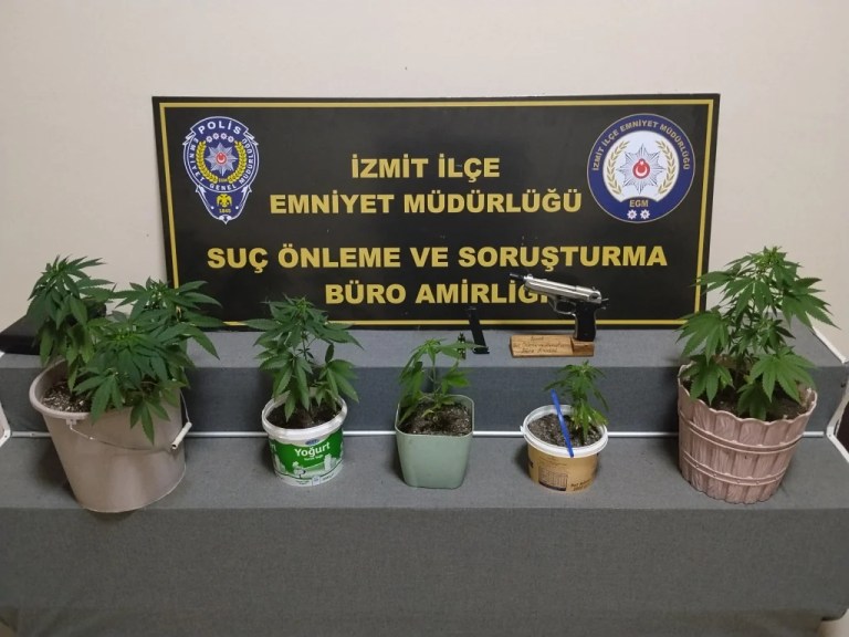 İzmit'te evinde Hint keneviri yetiştiren şahıs yakalandı!