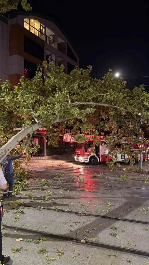 Tramvay hattına dal düştü!