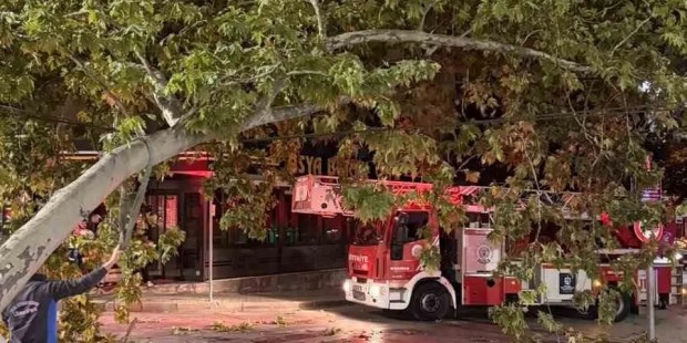 Tramvay hattına dal düştü!