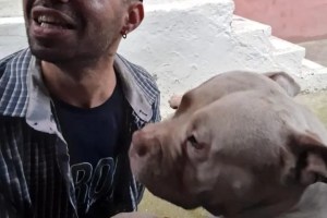 Motosiklet kazasında yaşamını yitirdi!