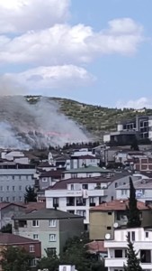 Gebze’de orman yangını çıktı!