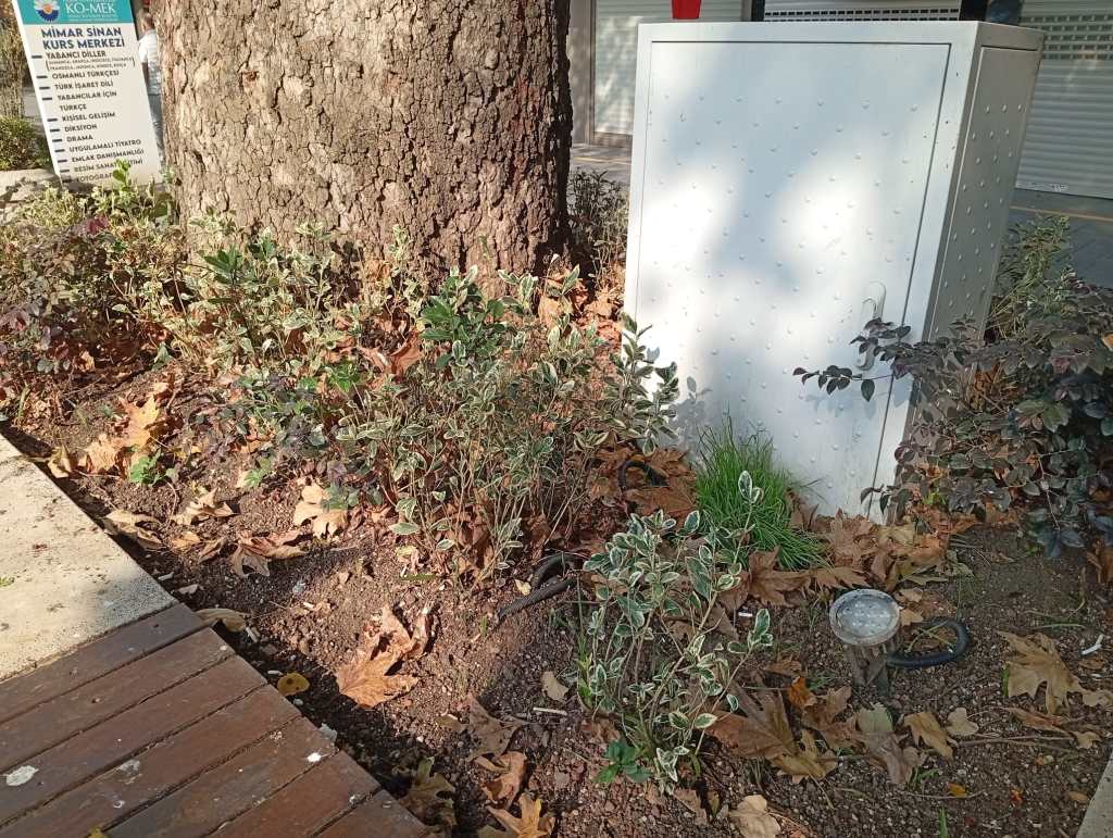 Madem buzlar eridi ortak proje Yürüyüş Yolu olsun
