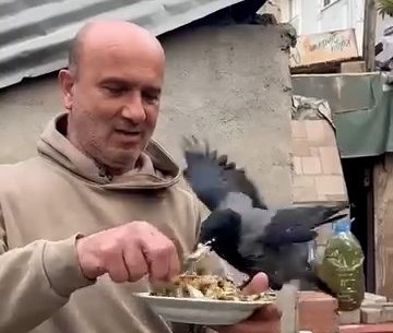 4 yıldır beslediği kargasına elleriyle balık yedirdi